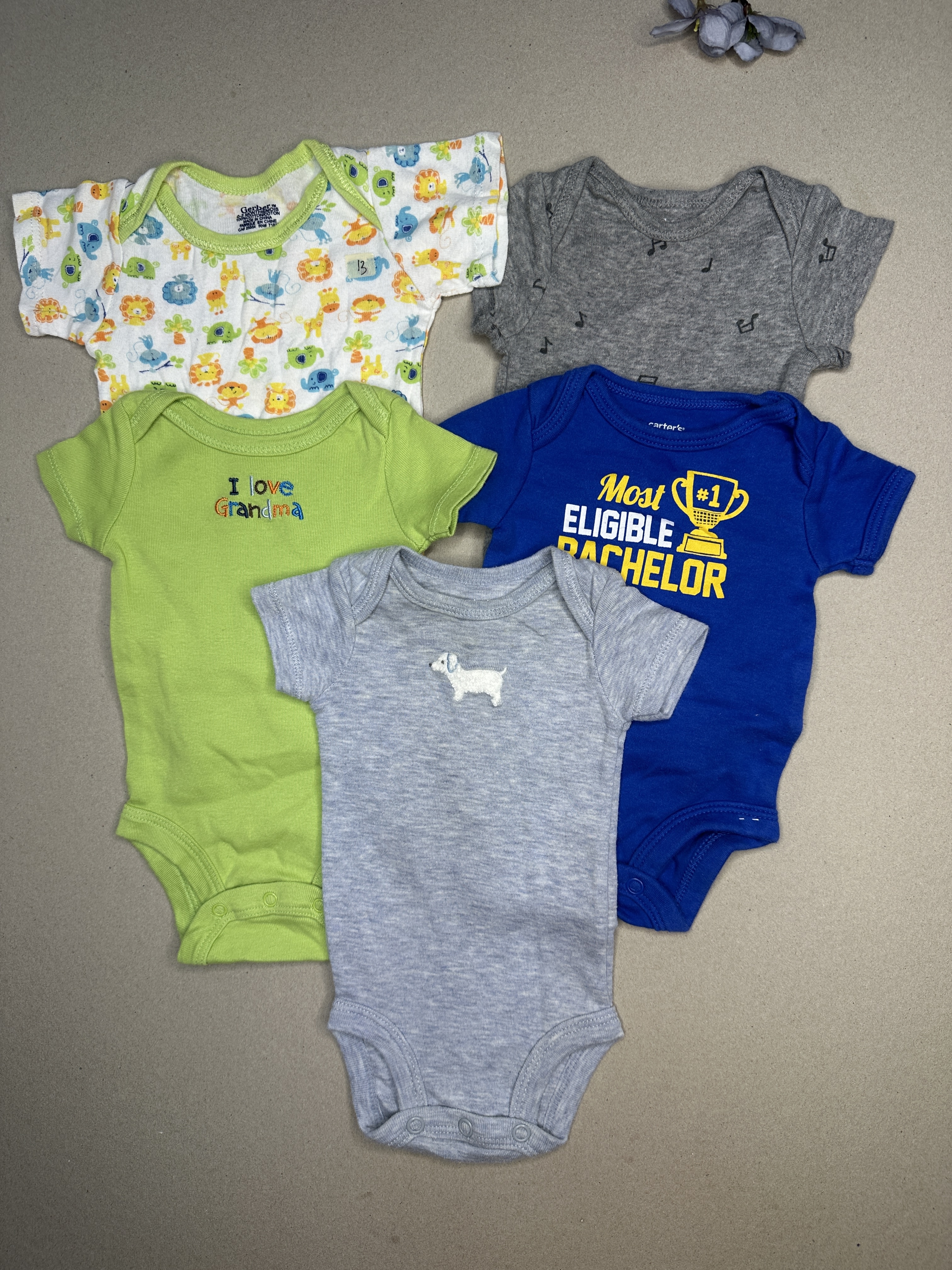 Carters
