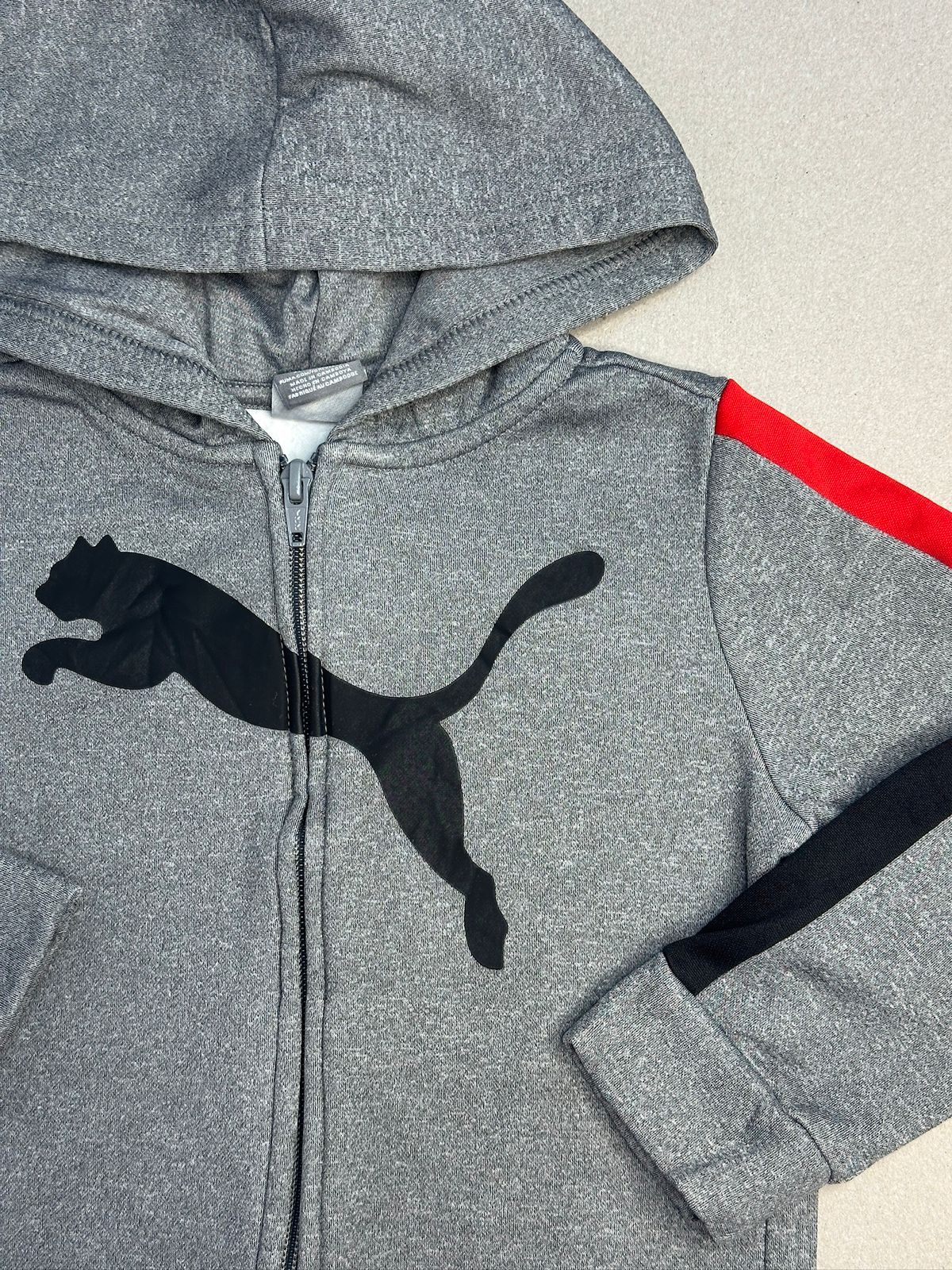 puma