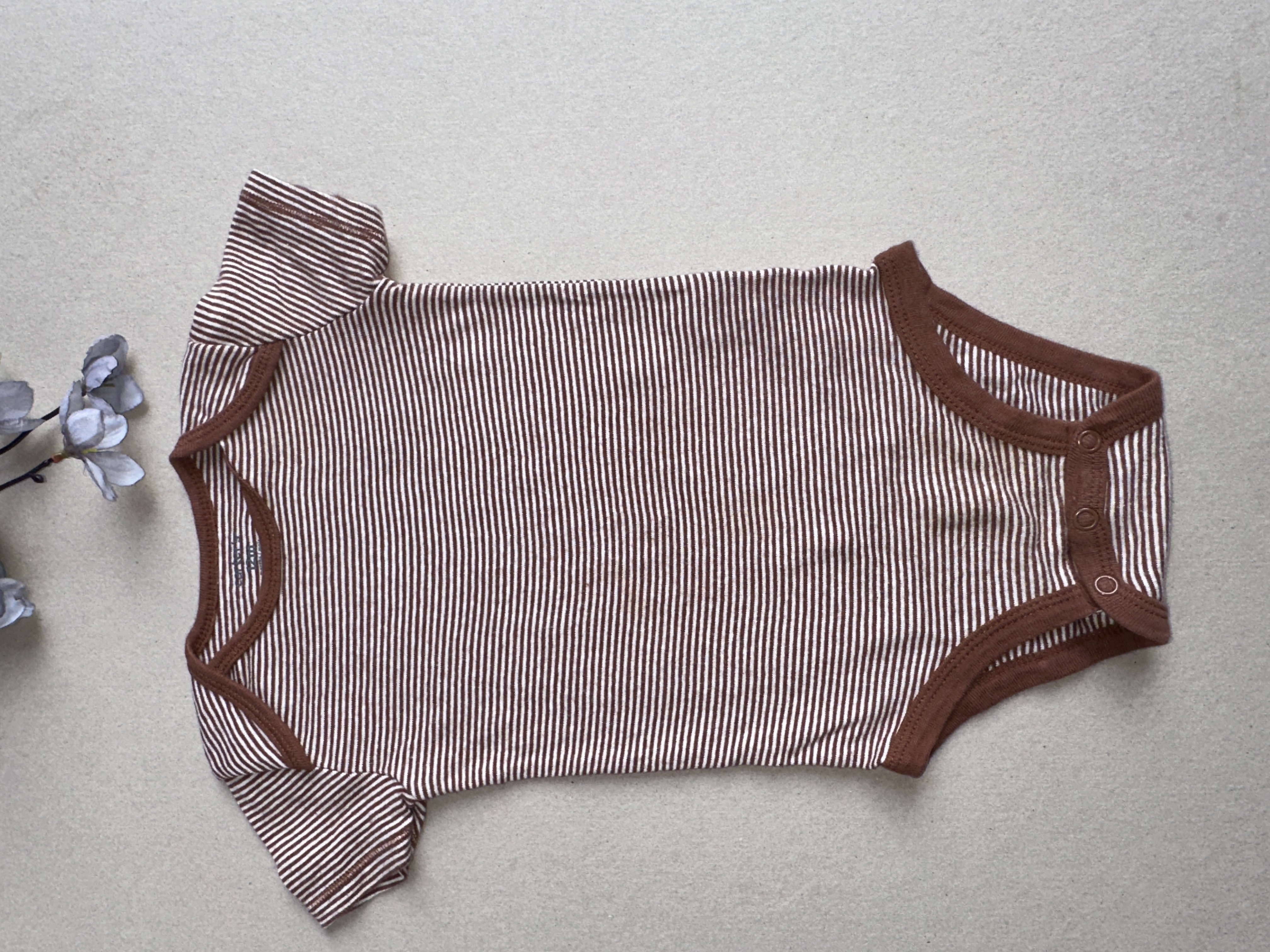 Carter 12 m