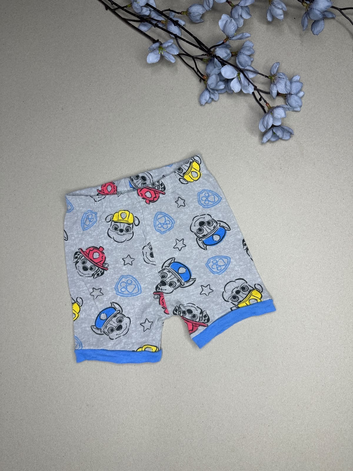 Paw patrol
