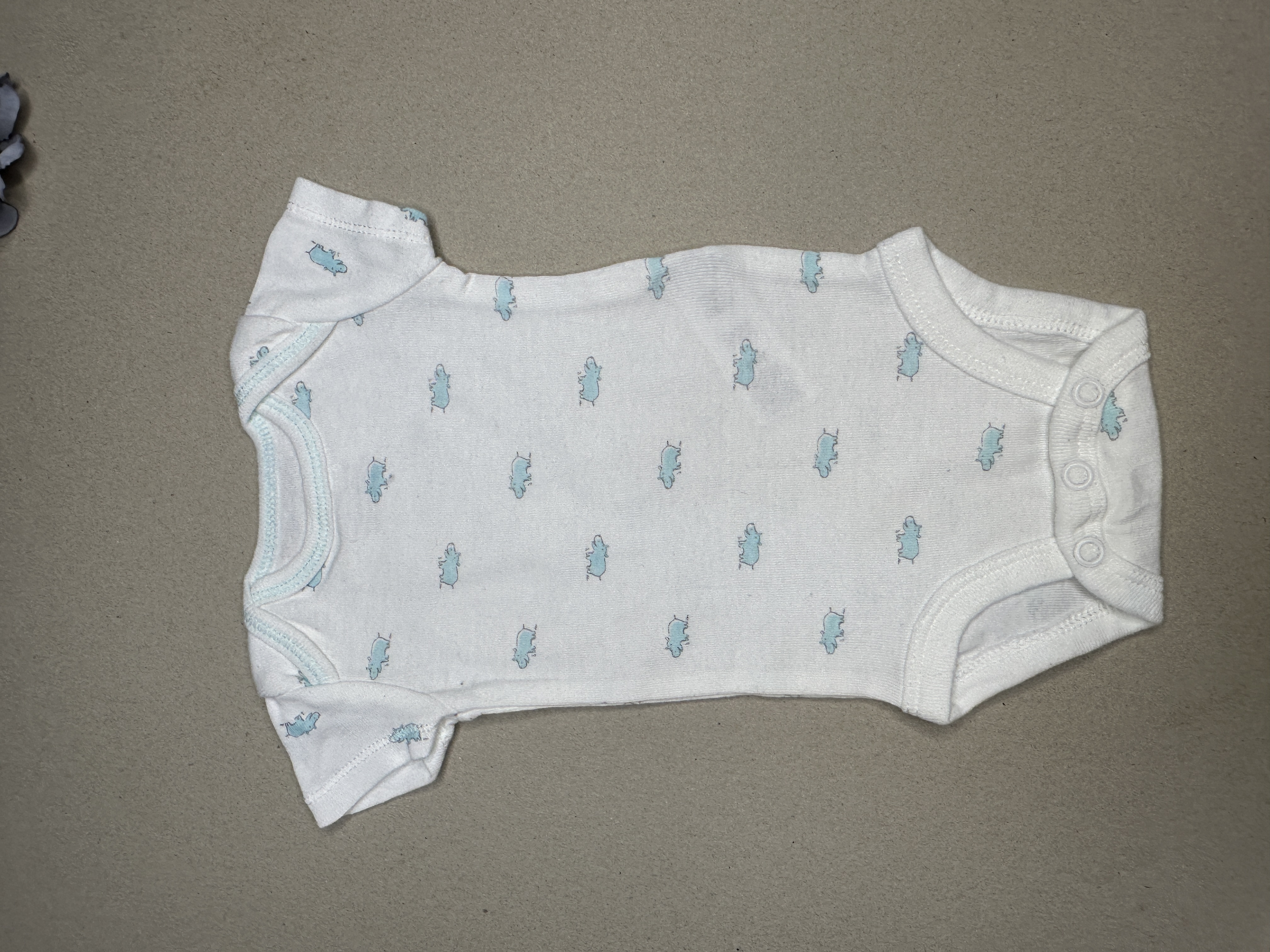 Carters