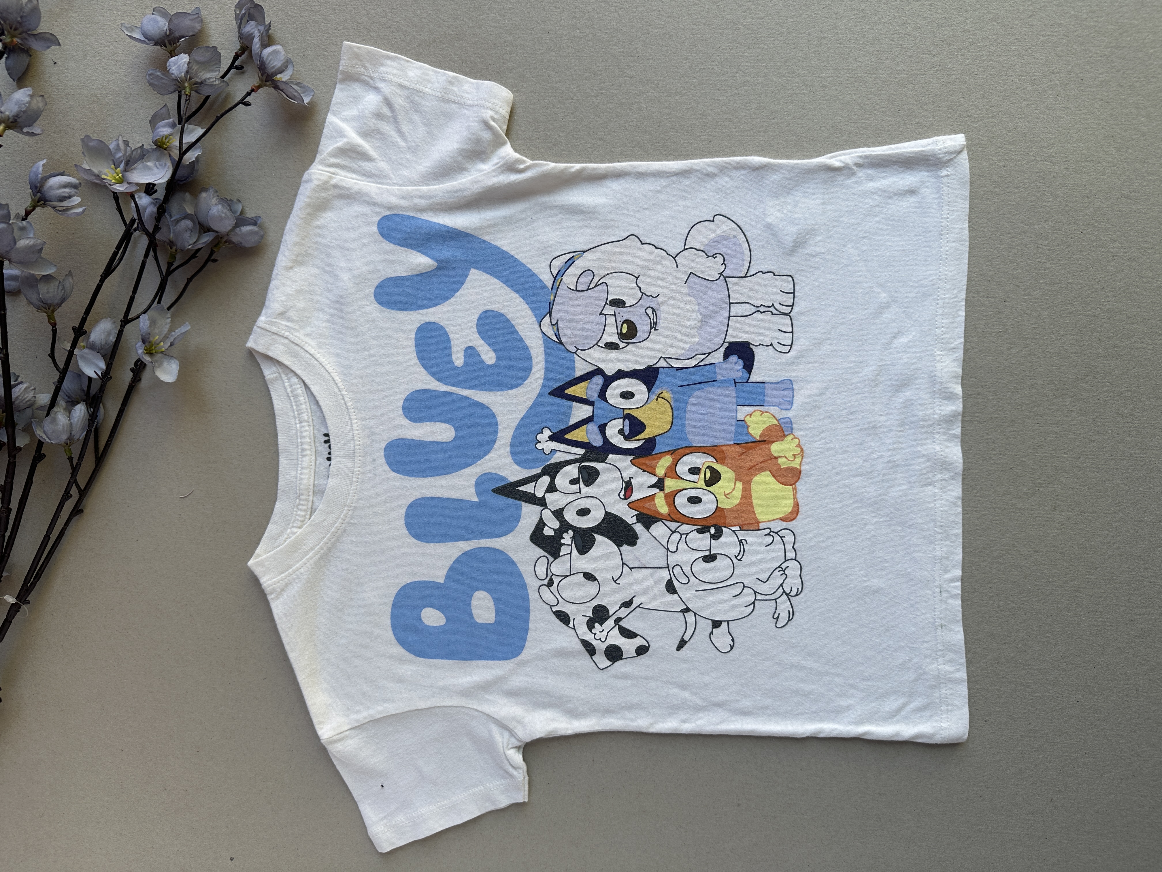 Bluey