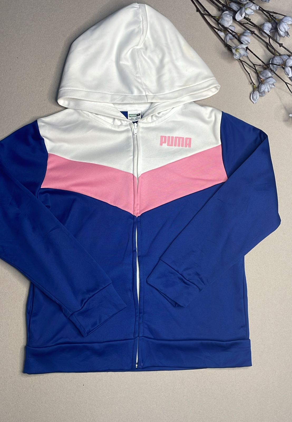 puma