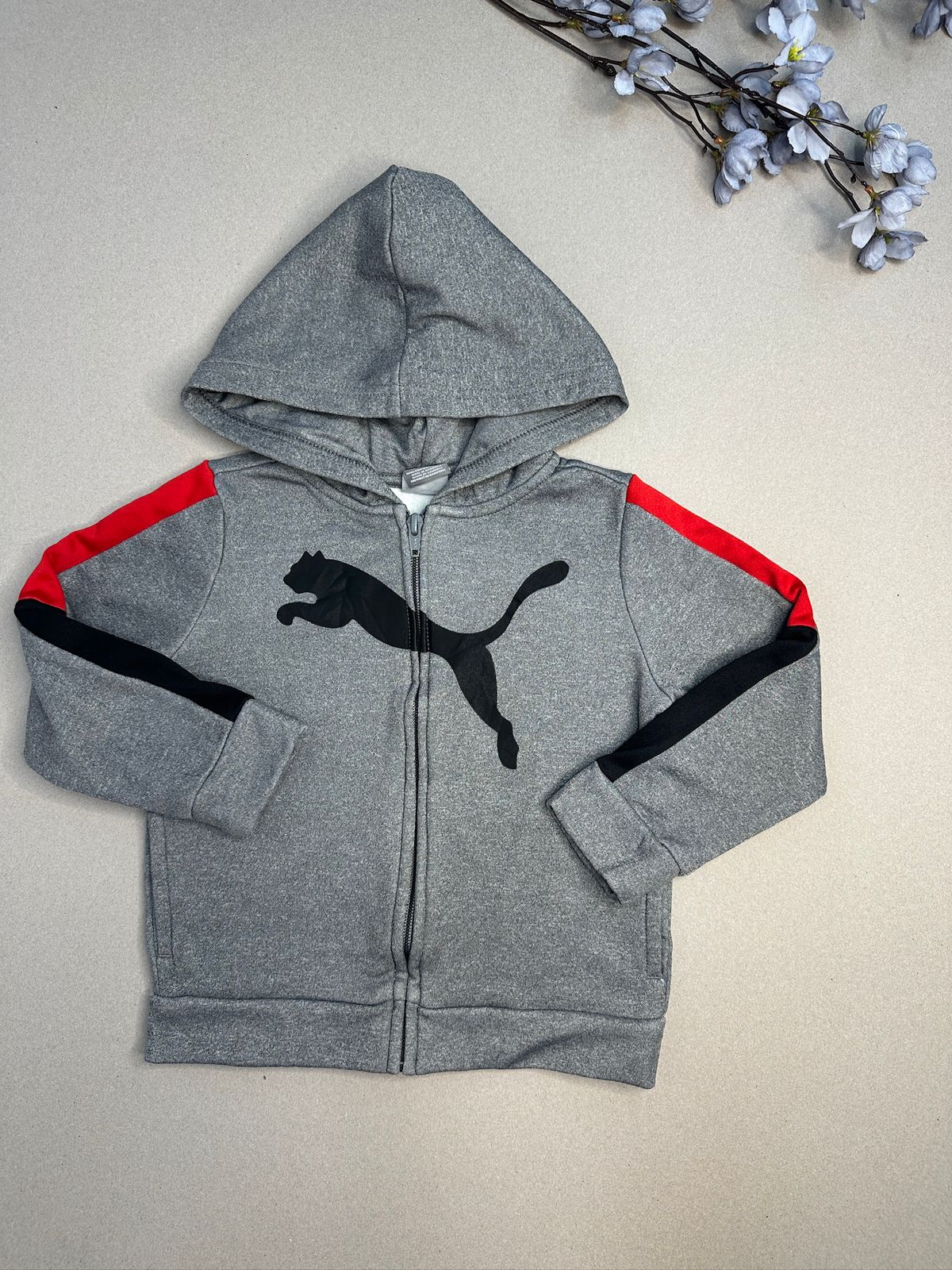 puma