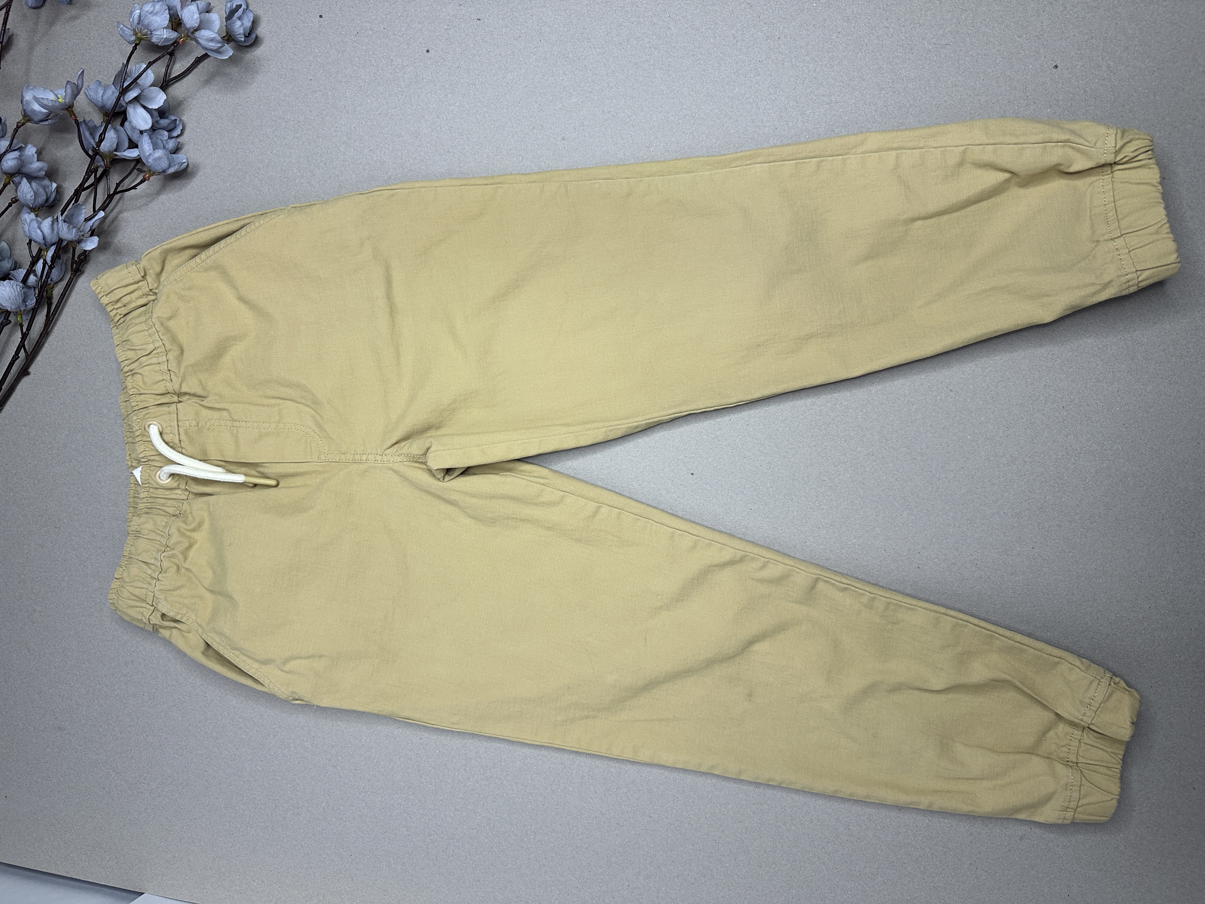 Tommy bahama