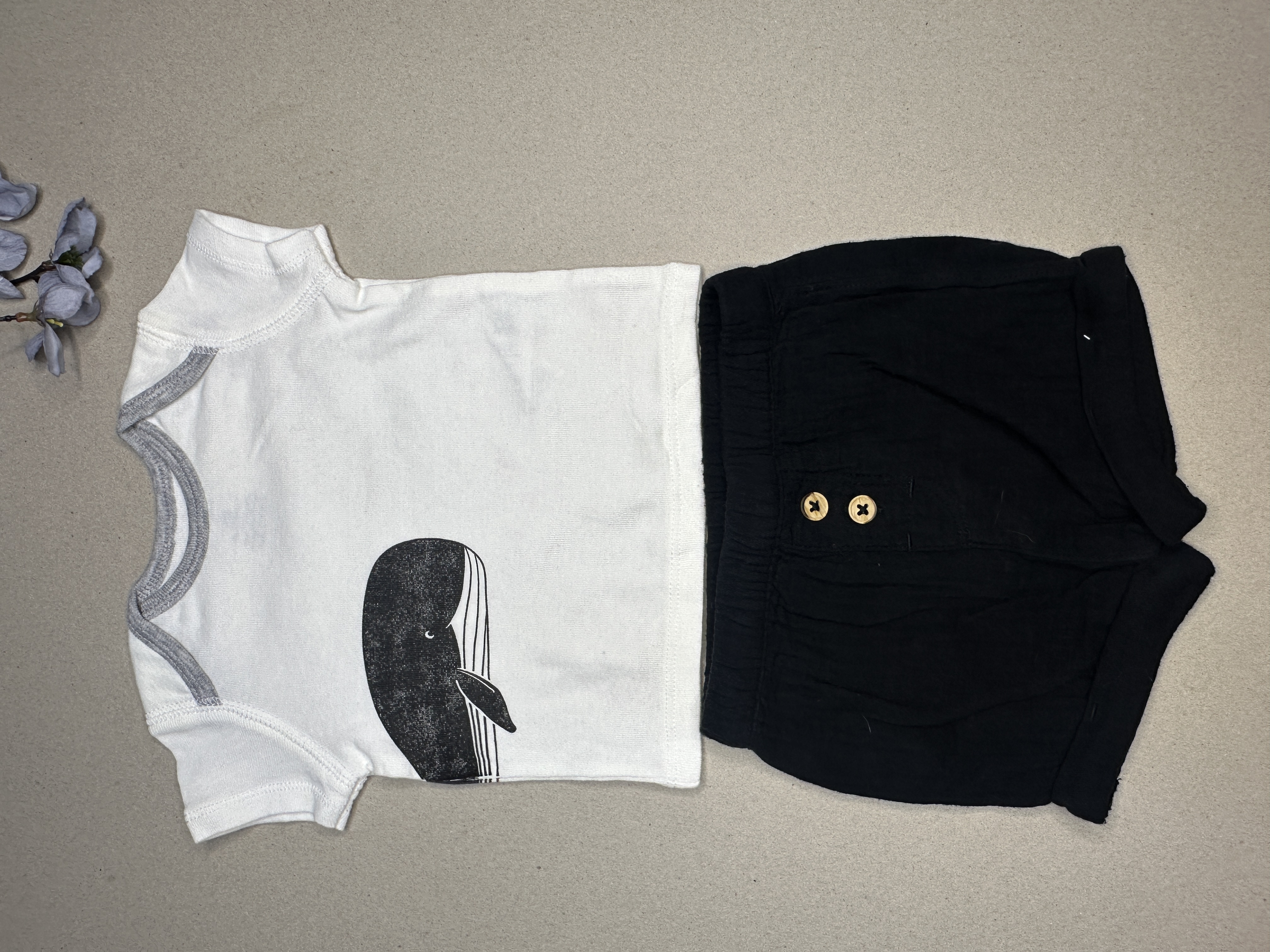Carters