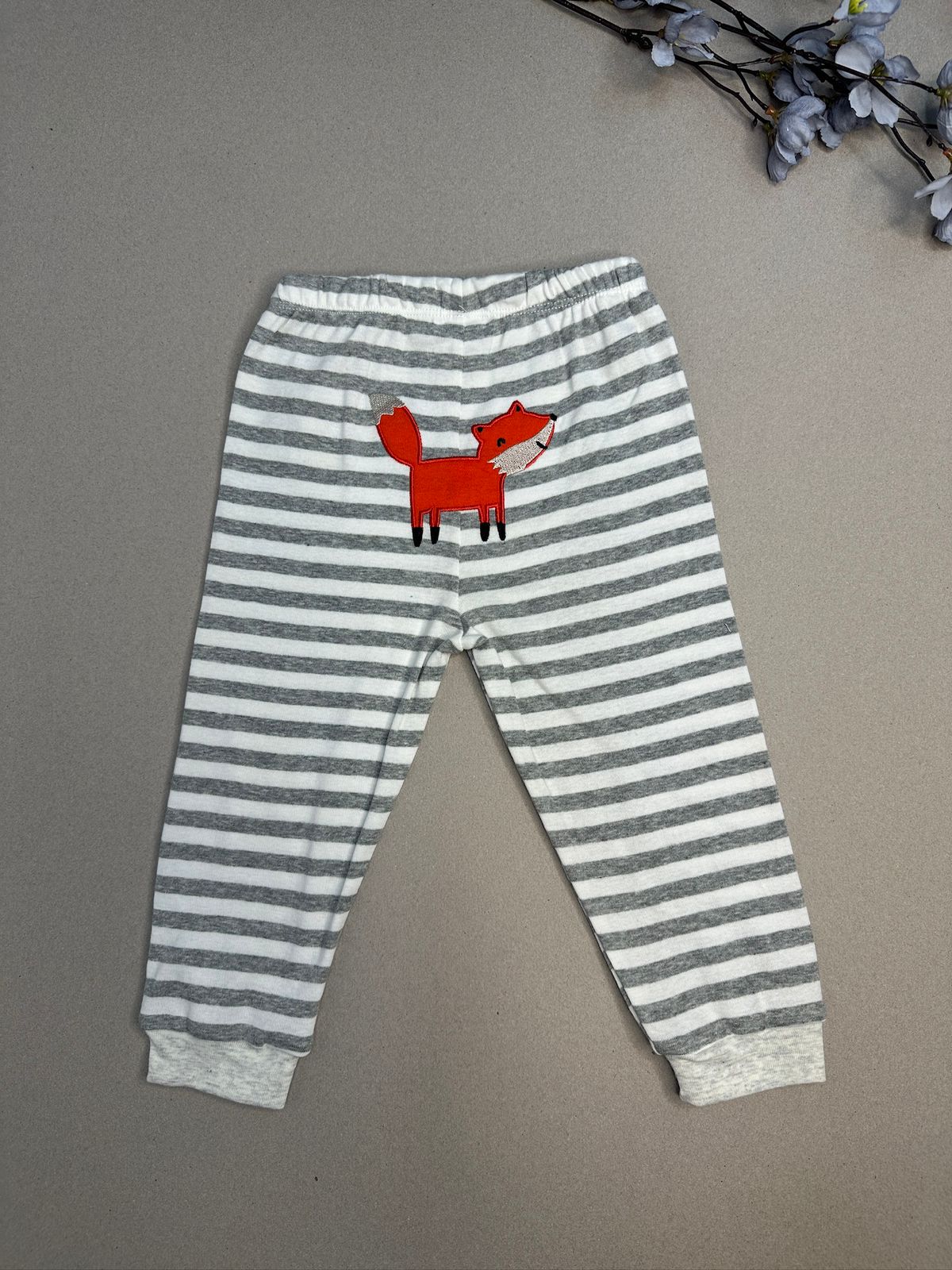 zorrito