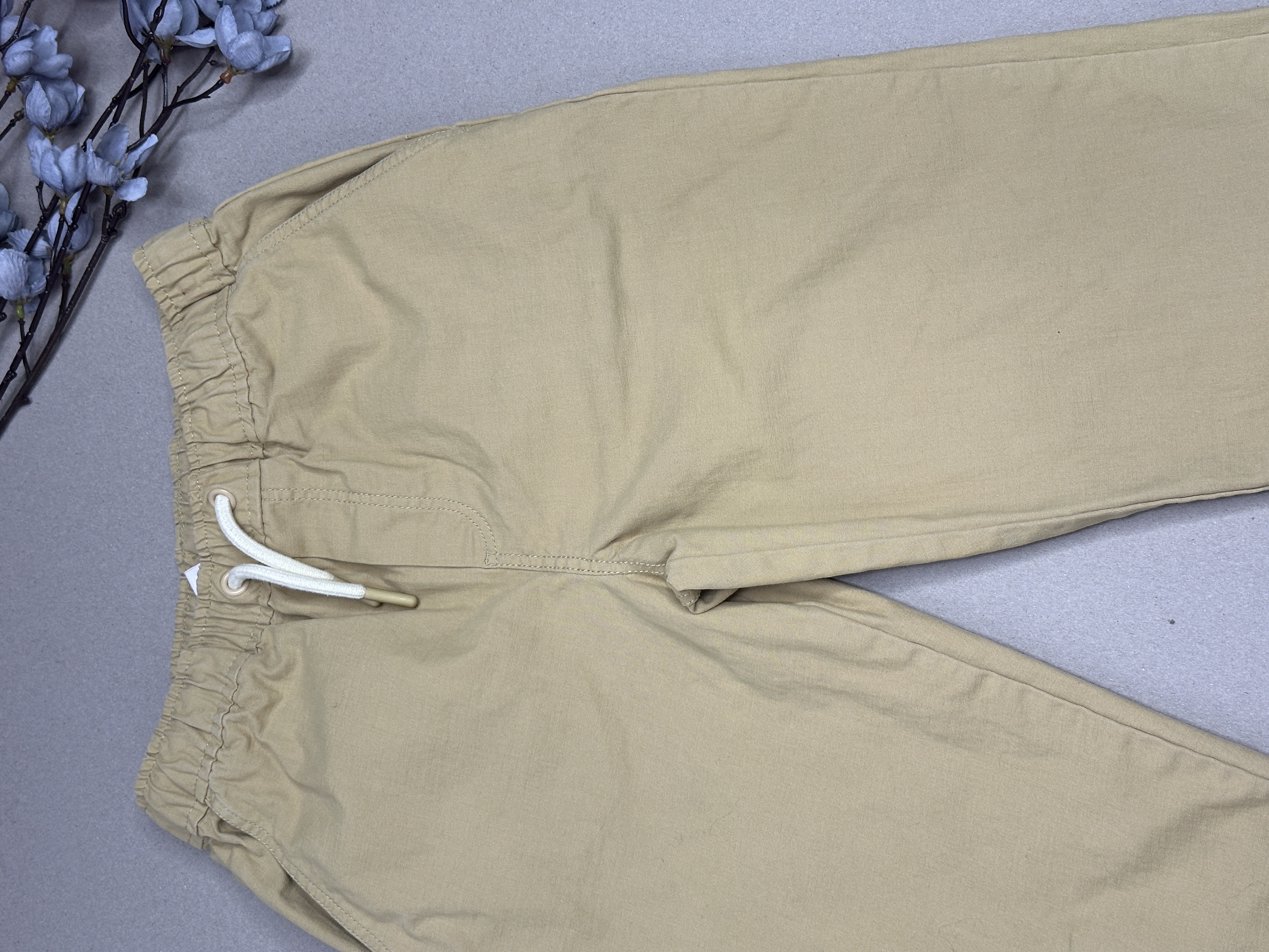 Tommy bahama