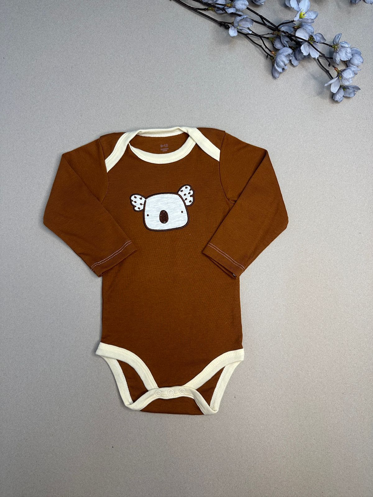 koala body