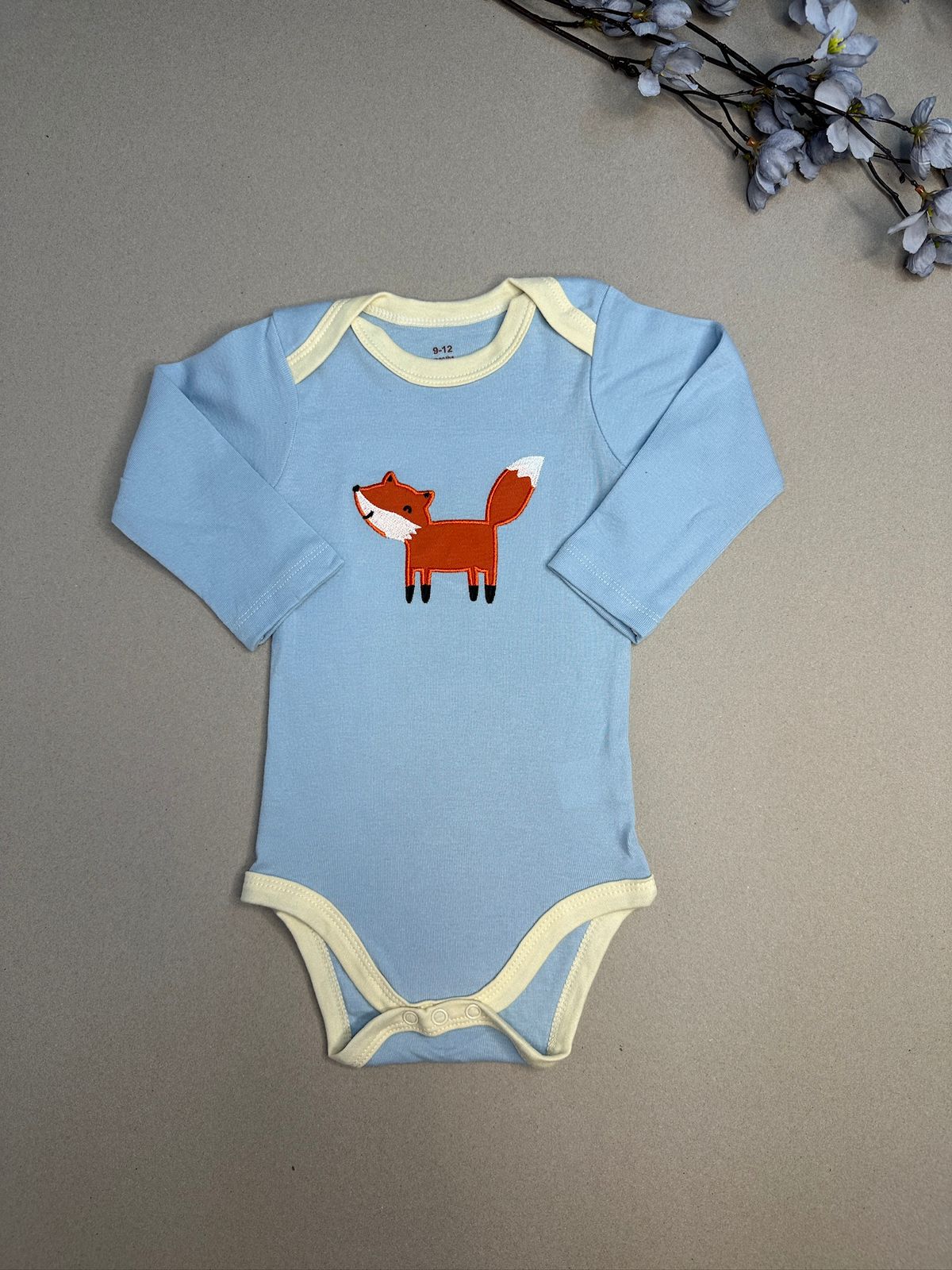 zorrito body